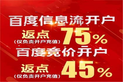 高效百度竞价策略分享与案例